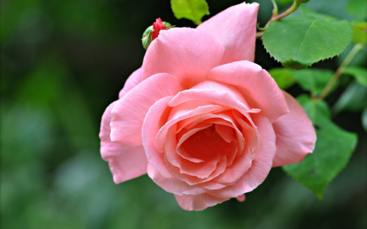 744912 (a): :2560x1600